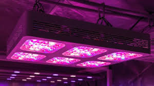 Led Lights In Your Grow