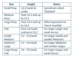 Halter And Bridle Sizing