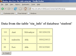 Access All The Fields From Table Through Jsp Database Using