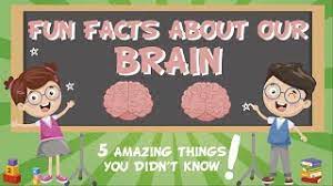 fun facts educational videos for kids