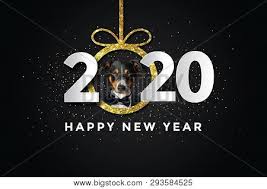 Download happy new year stock vectors. Cute Puppies Happy New Year 2020 L2sanpiero