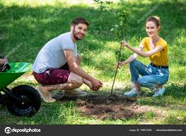 And it's even better when it's free! Young Smiling Couple Planting New Tree Park Free Stock Photo C Allaserebrina 199512550
