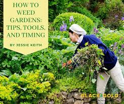 How To Weed Gardens Tips Tools And