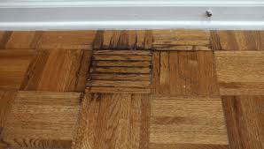 black urine stains from hardwood floors