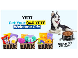 free yeti dog bowl with barkbox