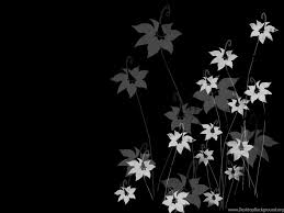Floral Wallpapers With Black ...