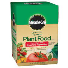 tomato plant food