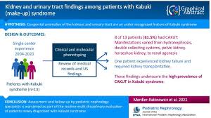 kidney and urinary tract findings among