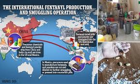 America's fentanyl crisis UNCOVERED: How drug that causes a death every seven minutes took over | Daily Mail Online
