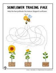 Sunflower life cycle sequencing worksheet. Sunflower Activity Pages For Kids Woo Jr Kids Activities