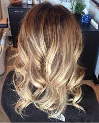 Golden Blonde Hair Color Chartblonde Highlights And