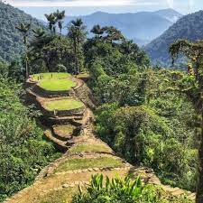 The Lost City Colombia A Guide To