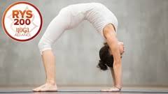 top free yoga courses tutorials