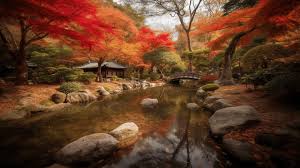 Japanese Garden In Fall Background