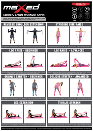 workout guides