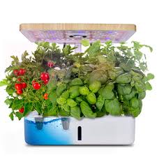 Moistenland Hydroponics Growing System Indoor Herb Garden Starter Kit W Led Grow Light Plant Germination Kits 12 Plant Pots For Home Kitchen Gardening 12 Pots