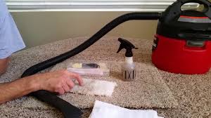 carpet bleach and stain removal kit