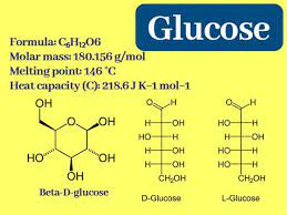 Glucose Function And Chemical Reaction