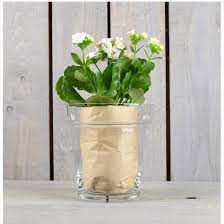 Glass Clear Flower Pot Orchid Pot