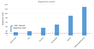Dopamine Levels In The Brain Local News Chronicleonline Com
