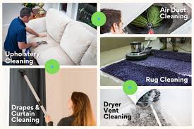 rug cleaning bradenton rug cleaner
