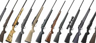 Everything you need to know about Bolt-Action Rifles.