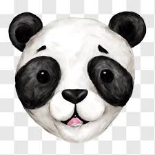 adorable panda bear face painting png
