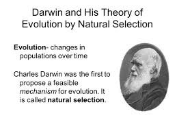 natural selection charles darwin essay natural selection this preservation of favourable variations and the rejection of injurious variations i call natural selection