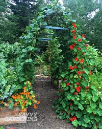 Community garden guide season extension. Vertical Vegetable Gardening Pole Bean Tunnels