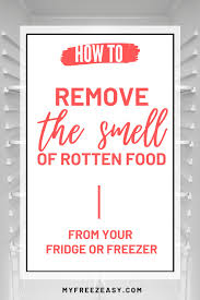 smell of rotten food from fridge or freezer