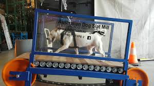 dog slat mills by val ward enterprises