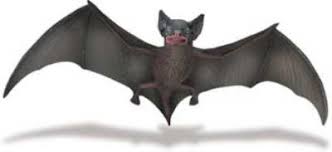 bat toy miniature replica at world