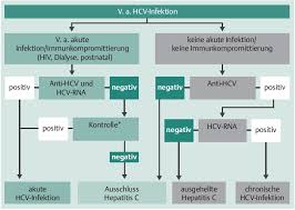 Clinical significance of hepatitis b virus (hbv) genotypes and precore and core. Hepatitis Medix Schweiz