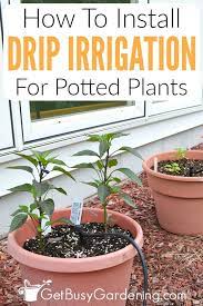 drip irrigation system for potted plants