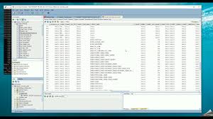 datapump export using sql developer