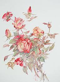 Reine de centfeuilles produce grandi mazzetti di fiori di un rosa puro. La Rosa Simbologie E Culti Legati Ad Un Fiore Il Giornalaccio