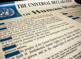 Universal Declaration of Human Rights  Little Books of Wisdom    