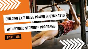 gymnasts with hybrid strength programs