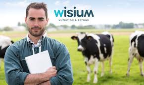 wisium premi and services now