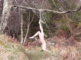 Hang naked