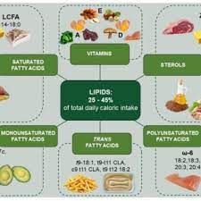 tary sources tary lipids