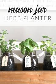 Easy Diy Herb Garden Using Mason Jars