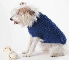 How To Knit A Dog Sweater Dog Jumper