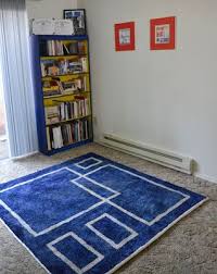 You Can Dye Carpet I Have A Shag Rug In My Livingroom I