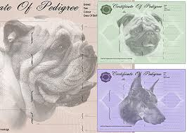 Pedigree Forms Certificates Create A Free Pedigree Forms