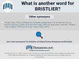 نتیجه جستجوی لغت [bristly] در گوگل