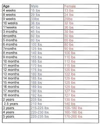 Puppy Growth Chart In Kilos Female Cane Corso Weight Chart
