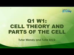 cell theory and parts of the cell