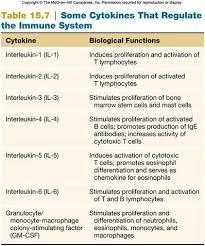Cytokines That Regulate The Immune System Boost Immune