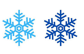 Snowflake Project | Longwood Center for the Visual Arts